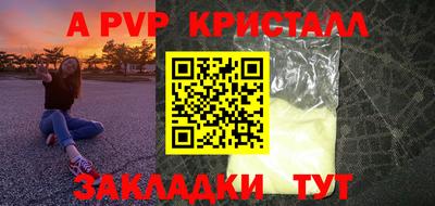 мет Кингисепп