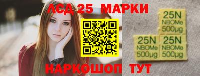 мет Кингисепп