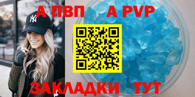 мет Кингисепп