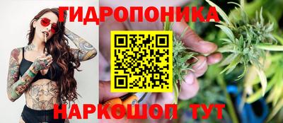 мет Кингисепп