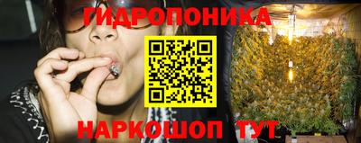 мет Кингисепп