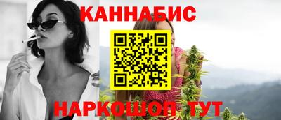мет Кингисепп