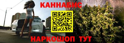 мет Кингисепп