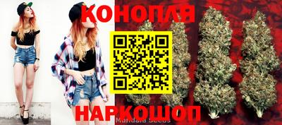 мет Кингисепп