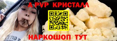 мет Кингисепп