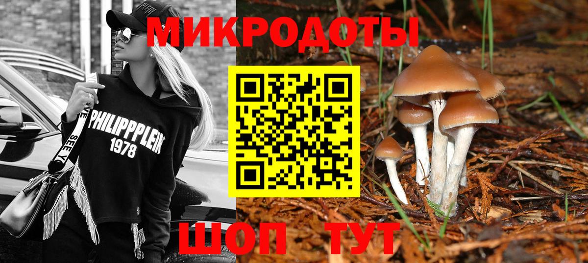 Галлюциногенные грибы мухоморы  наркотики  Коммунар  Вход с VPN 